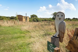 Una escultura de búho de madera sobre un poste con un cartel que indica un sitio de glamping.
