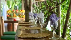 A dining table with woven placemats and glassware, set in a lush, green indoor environment.