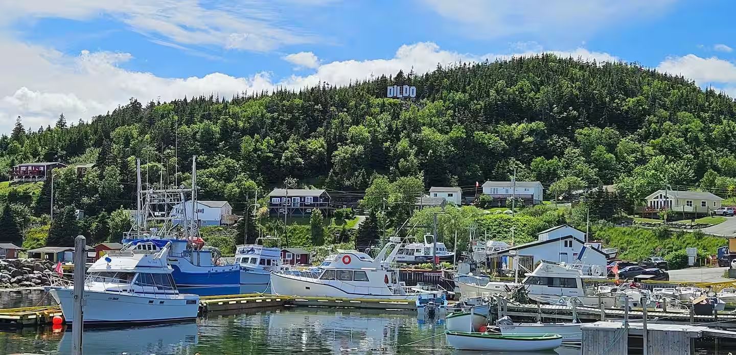 Marina