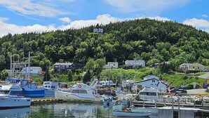 A marina with boats docked, a forested hill in the background, and houses along the shore.