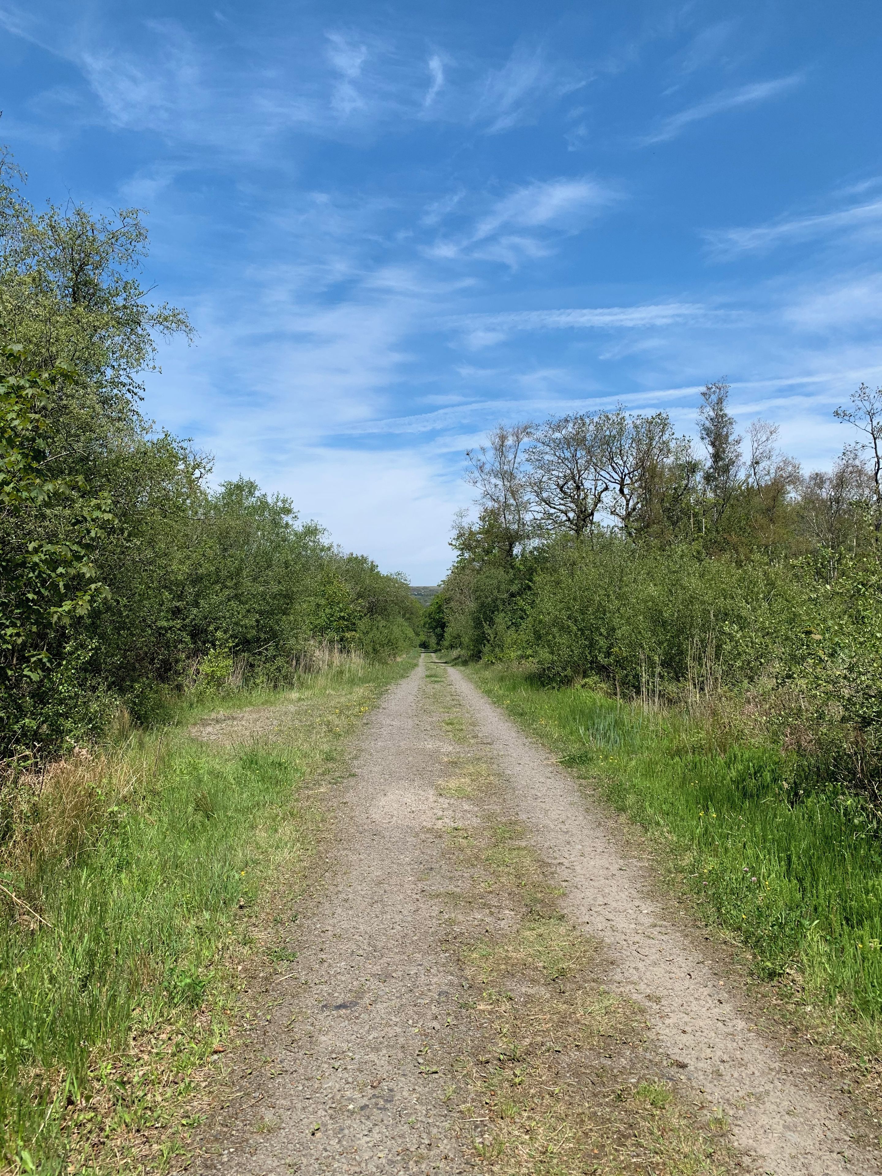 A gravel path flanked by dense greenery under a clear blue sky.