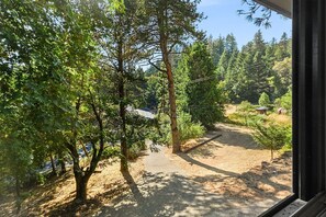 A view of a forested area with a dirt path leading through it. - Calistoga Retreat | Family Friendly + Private Pool (Calistoga)