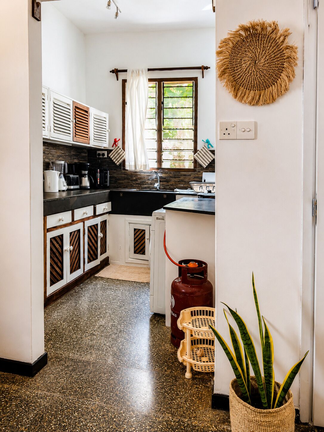 A kitchen with a gas stove, a coffee maker, and a potted plant.