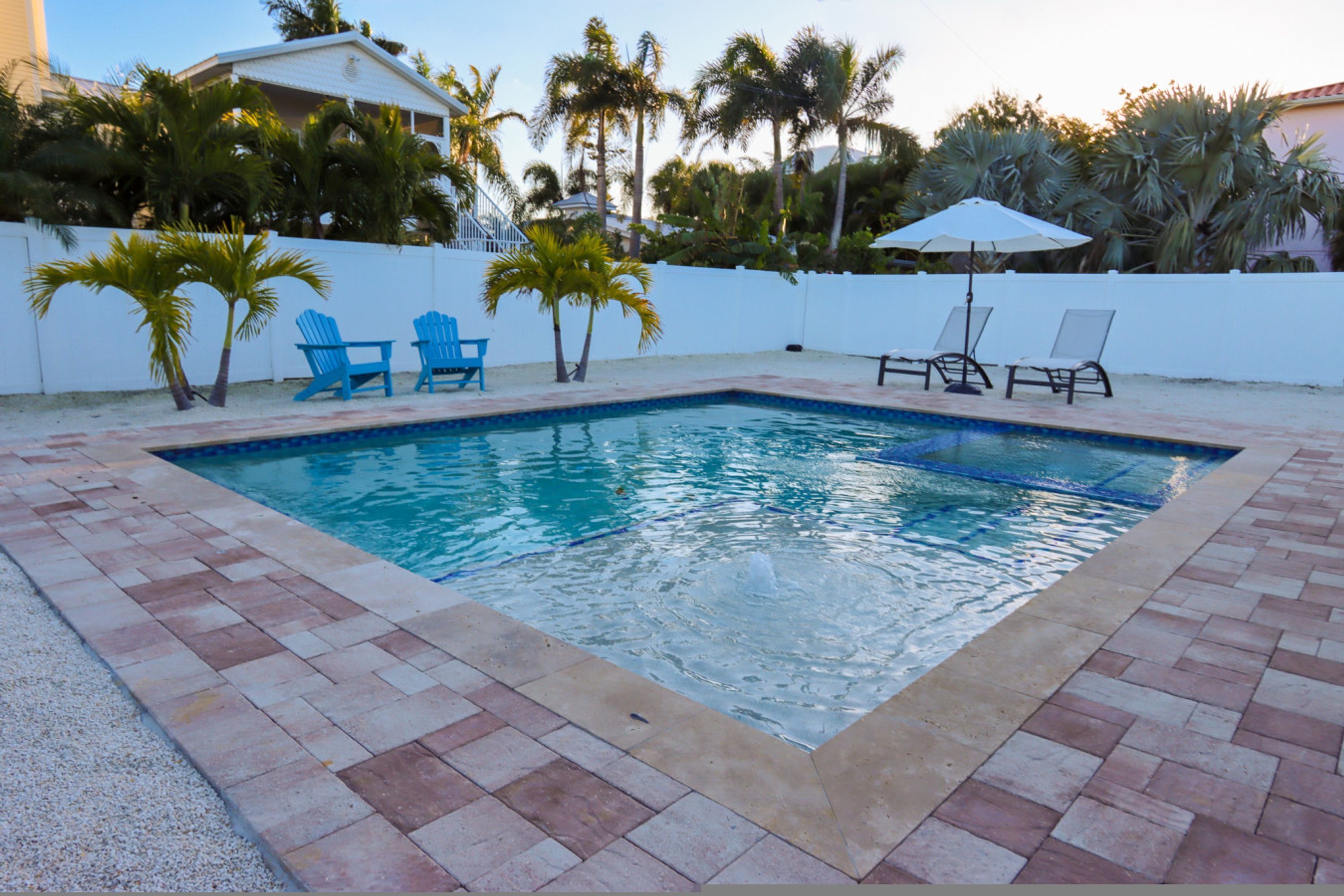 A rectangular swimming pool with a tiled border, surrounded by a white wall and palm trees.