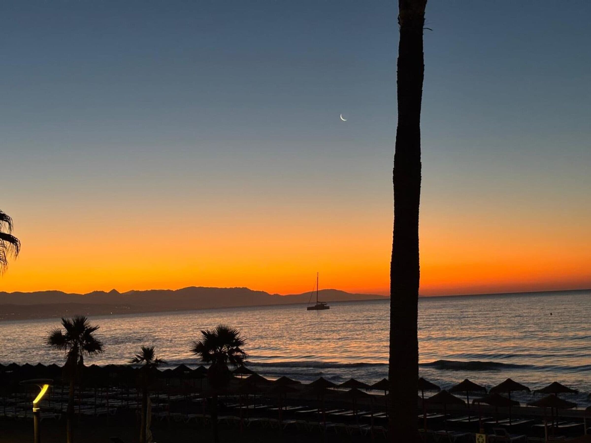 Une scène de plage au coucher du soleil, avec des palmiers et un voilier sur l’eau.