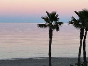 Eine Strandansicht mit Palmen und ruhigem Wasser.