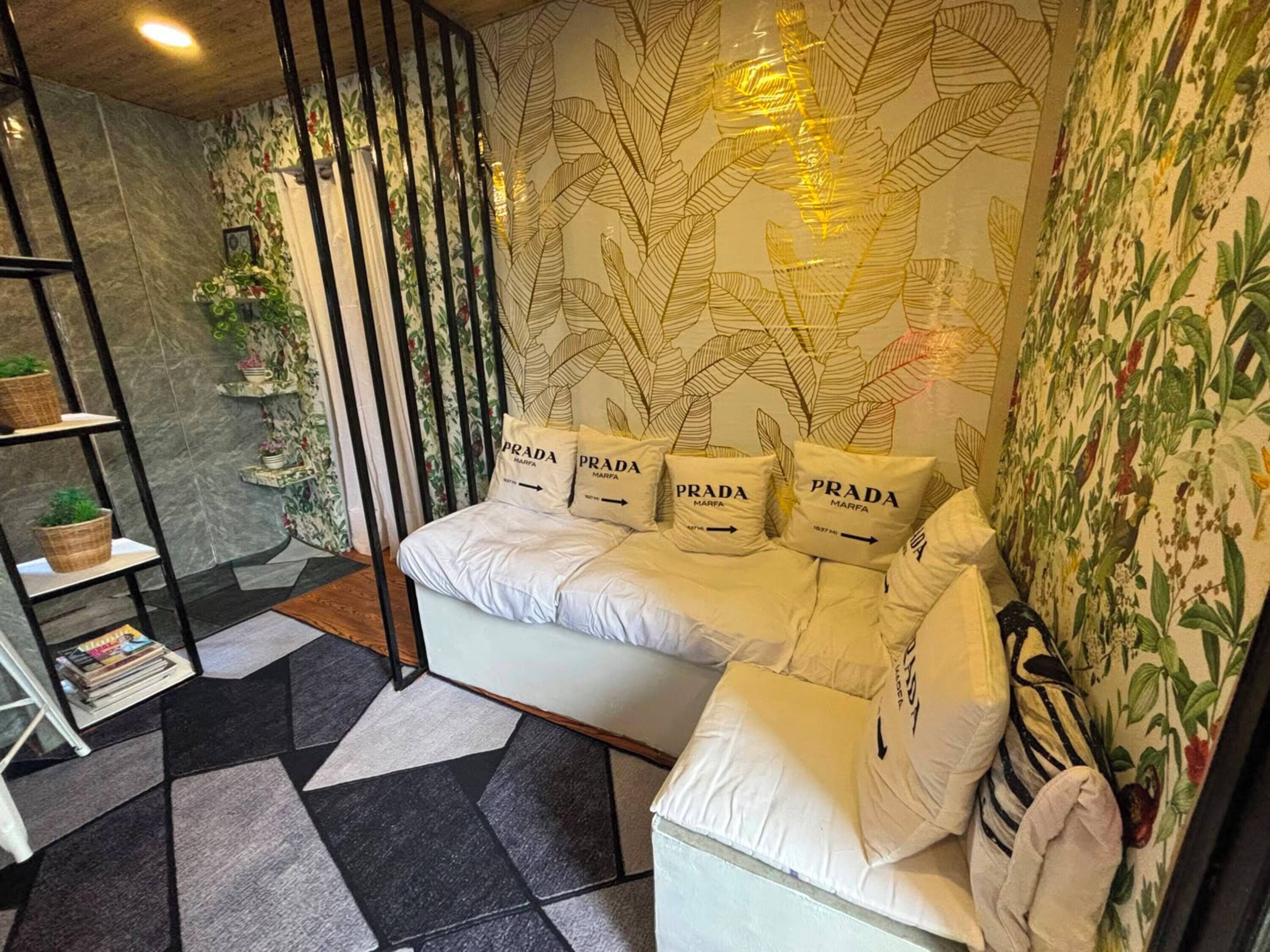Un dormitorio moderno con un sofá cama, un papel tapiz estampado, una estantería y una planta decorativa.