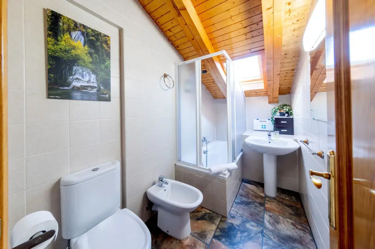A bathroom with a toilet, bidet, and shower area.