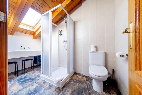 A bathroom with a shower enclosure, toilet, and a skylight above the shower.