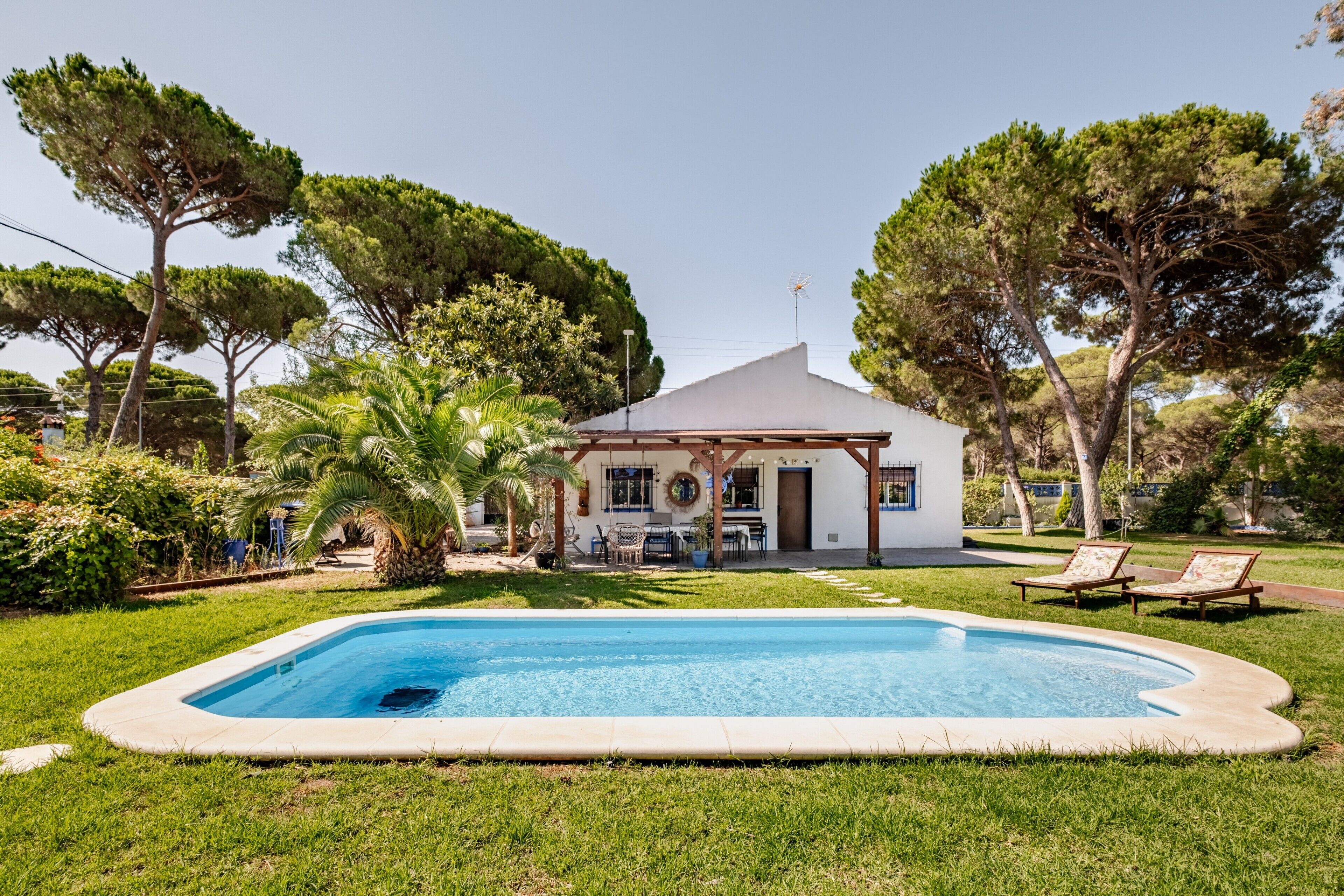 Une maison avec une piscine, entourée de verdure et d’arbres.