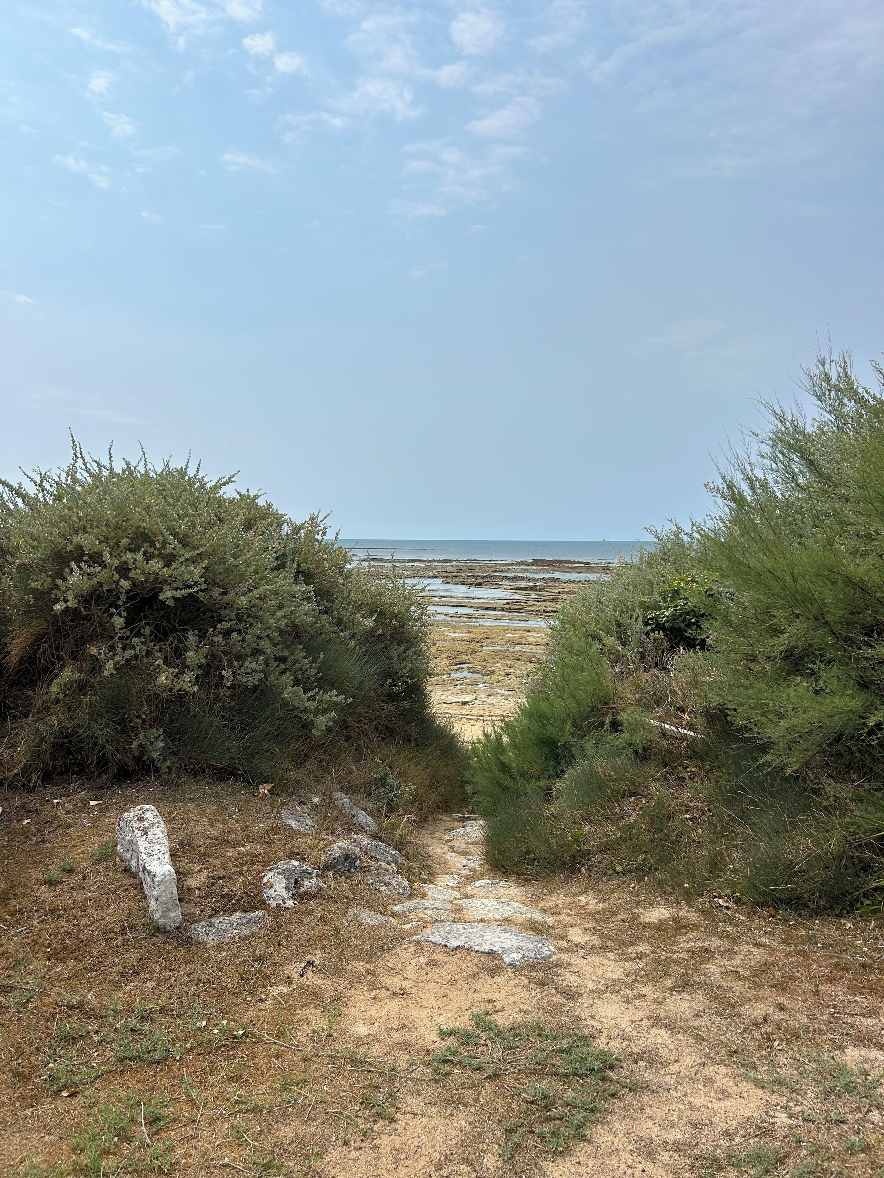 Een natuurlandschap met een onverharde pad dat naar een strand leidt.
