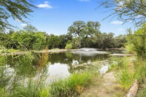 A tranquil pond with a fountain, surrounded by lush greenery and trees. - Casita: 1  BR, 1  BA House in Concan, Sleeps 4 (Concan)