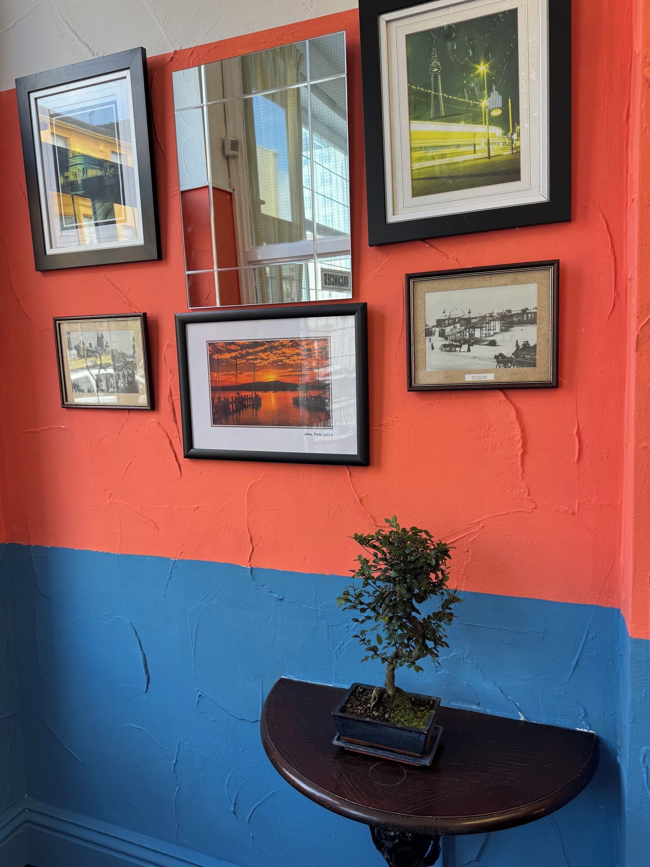 Eine Wand mit mehreren gerahmten Fotografien und ein kleiner Tisch mit einer Bonsai-Pflanze.
