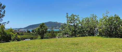 A grassy outdoor area with trees and a view of a hill and water body.