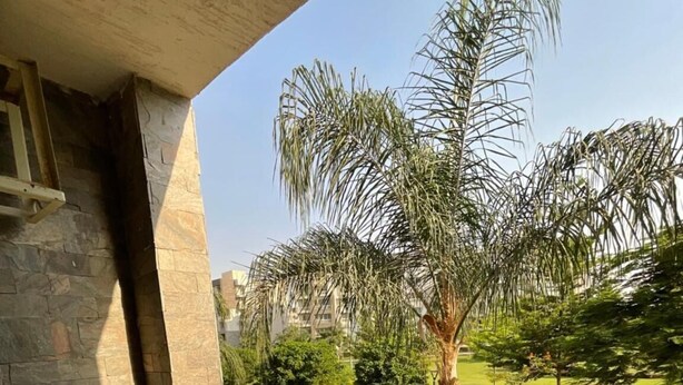 Un balcón con vistas a un jardín ajardinado, que incluye una palmera y un sendero.