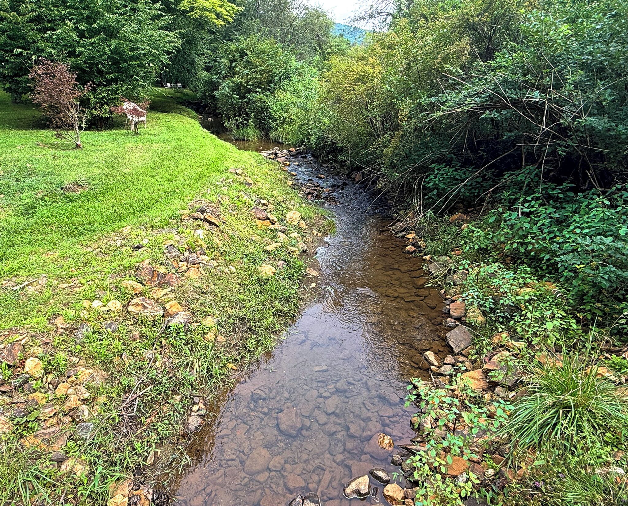 Un ruisseau aux eaux claires, bordé de rochers et d’herbe, et entouré d’une végétation luxuriante.