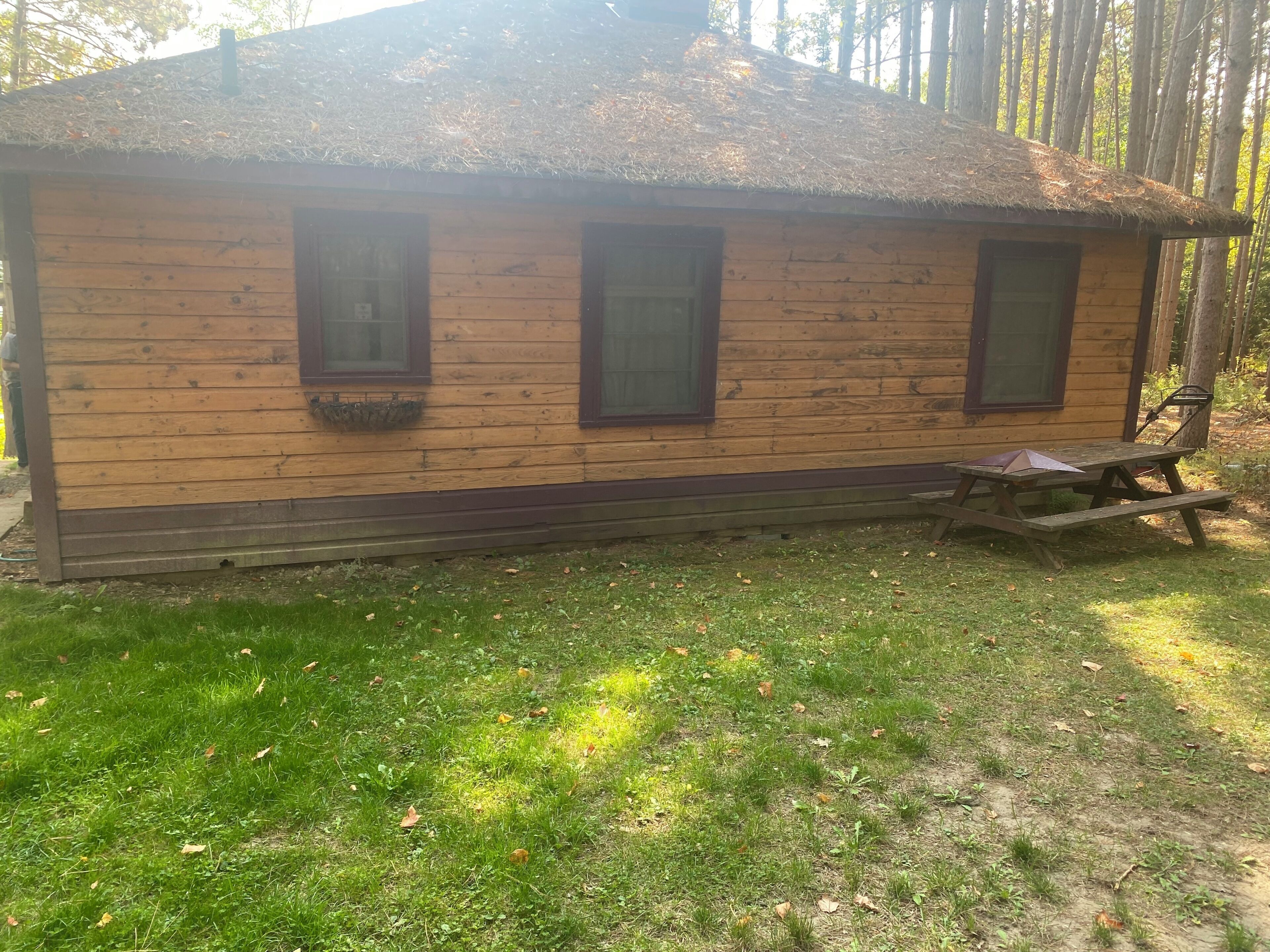 Una cabaña de madera con techo de paja, una mesa de picnic y un banco.