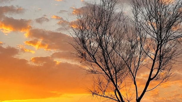 A sunset view with a tree in the foreground and a building across the water. - Azzuro Apartment in Durr s (Durrës)
