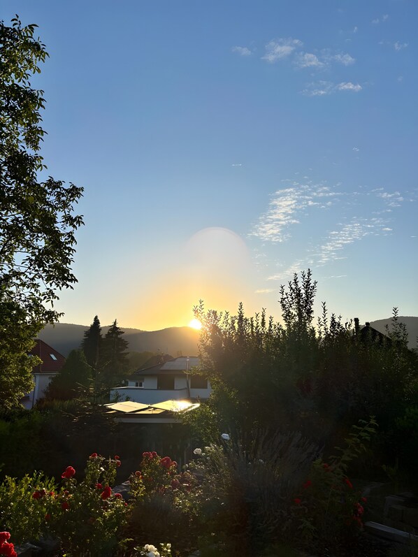 A residential area with houses, a garden with red flowers, and a clear sky with the sun setting.