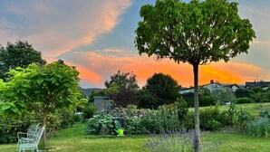 A garden with a tree, a bench, and a variety of plants.