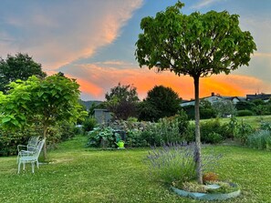 A garden with a tree, a bench, and a variety of plants.