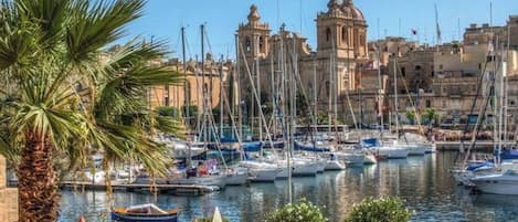 A marina with boats docked, a palm tree, and buildings in the background.