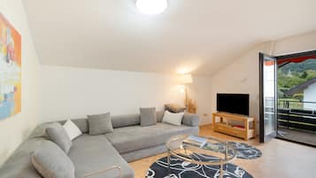 Fernseher, Tischtennisplatte