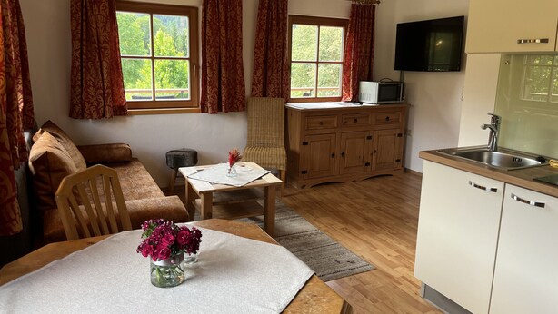 Ein gemütliches Wohnzimmer mit einer Couch, einem Esstisch mit Blumenvase, einer Küchenzeile inklusive Mikrowelle und einem an der Wand befestigten Fernseher.