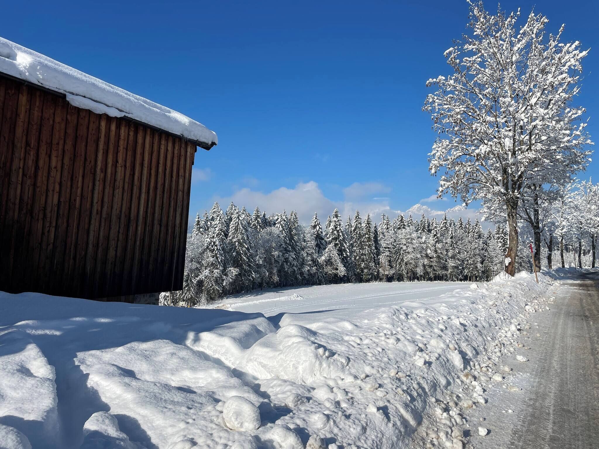 A snow-covered landscape with a wooden building and a tree.