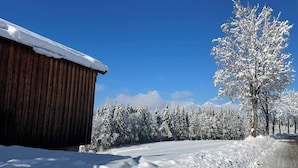Un paysage enneigé avec un bâtiment en bois et un arbre.