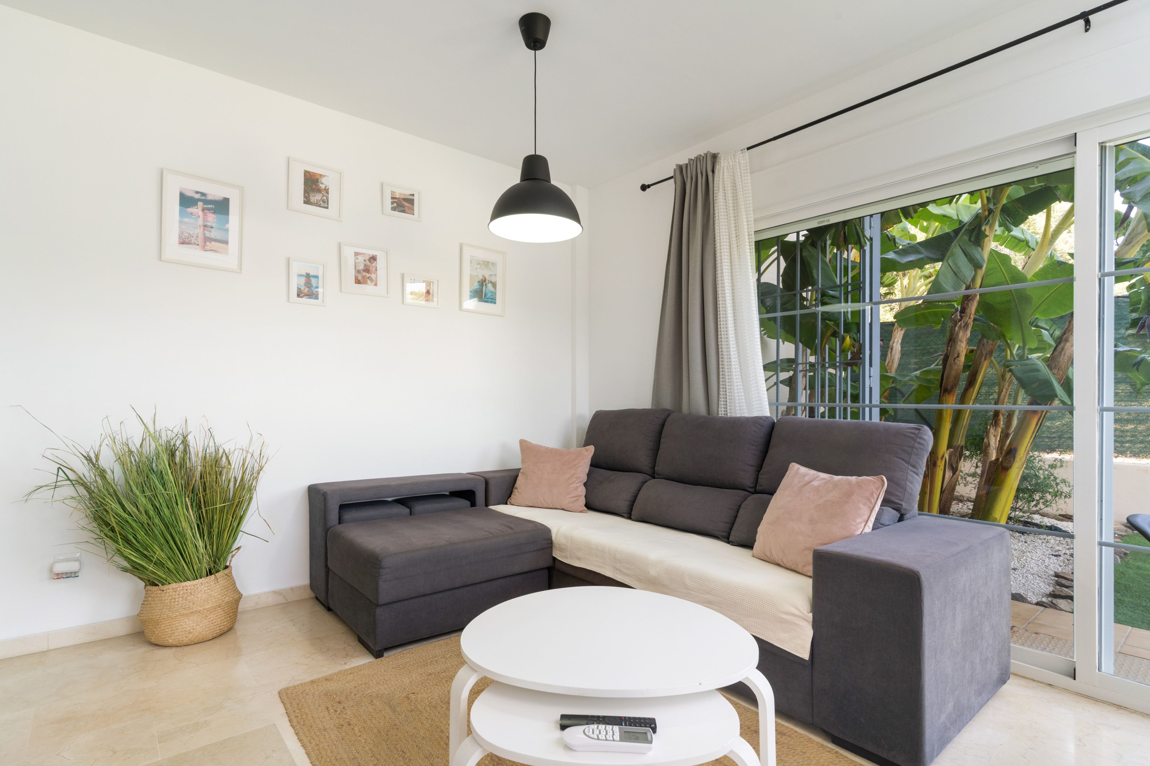 Un salon moderne avec un canapé gris, une petite table ronde et une plante en pot.