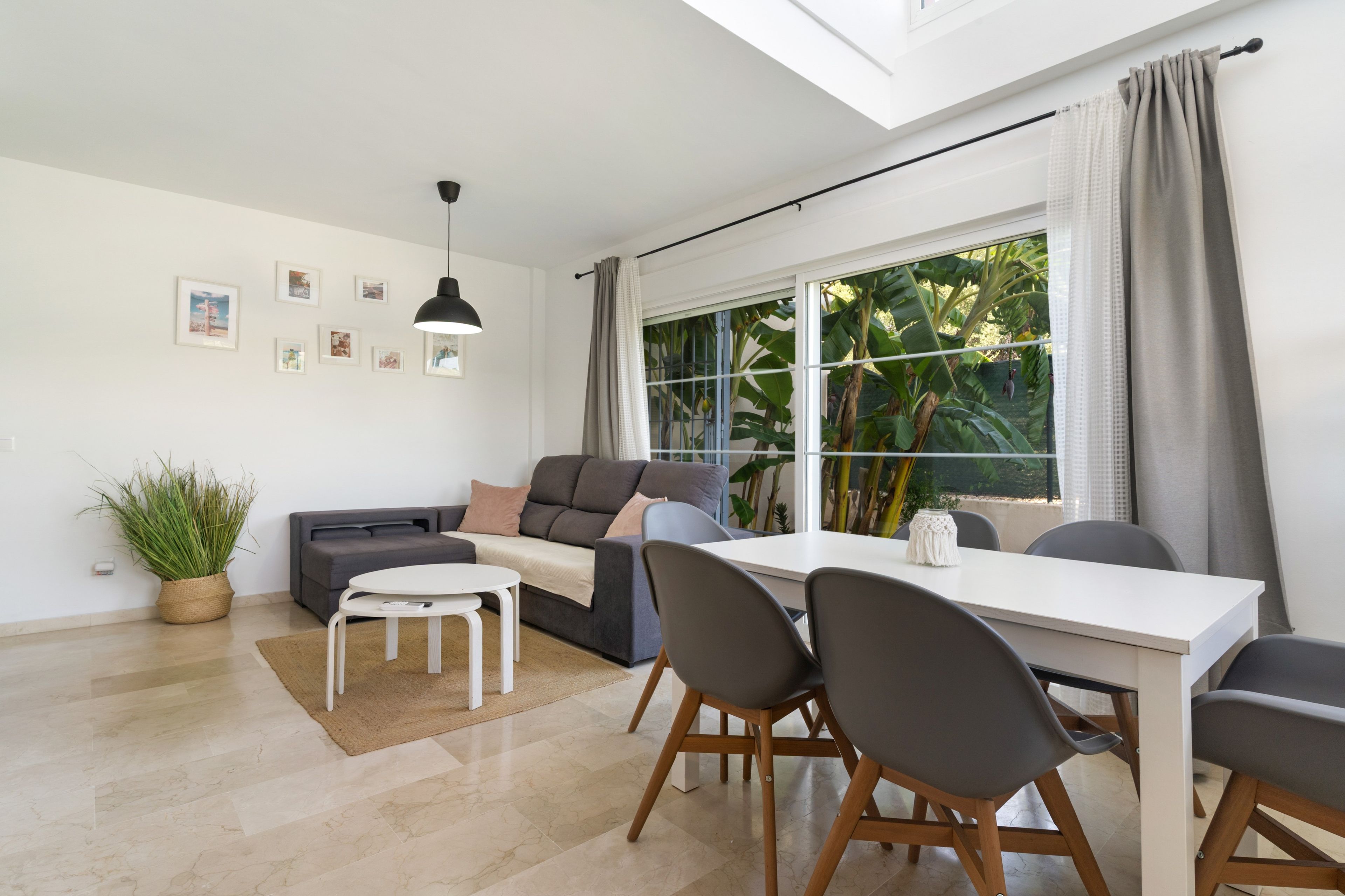 A modern living room with a sofa, a dining table with chairs, a potted plant, and a window with curtains.