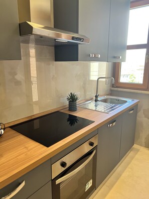 Eine moderne Küche mit Backofen, Spüle aus Edelstahl und einem kleinen Topfpflanzen.