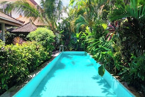 Una piscina rodeada de exuberante vegetación tropical.