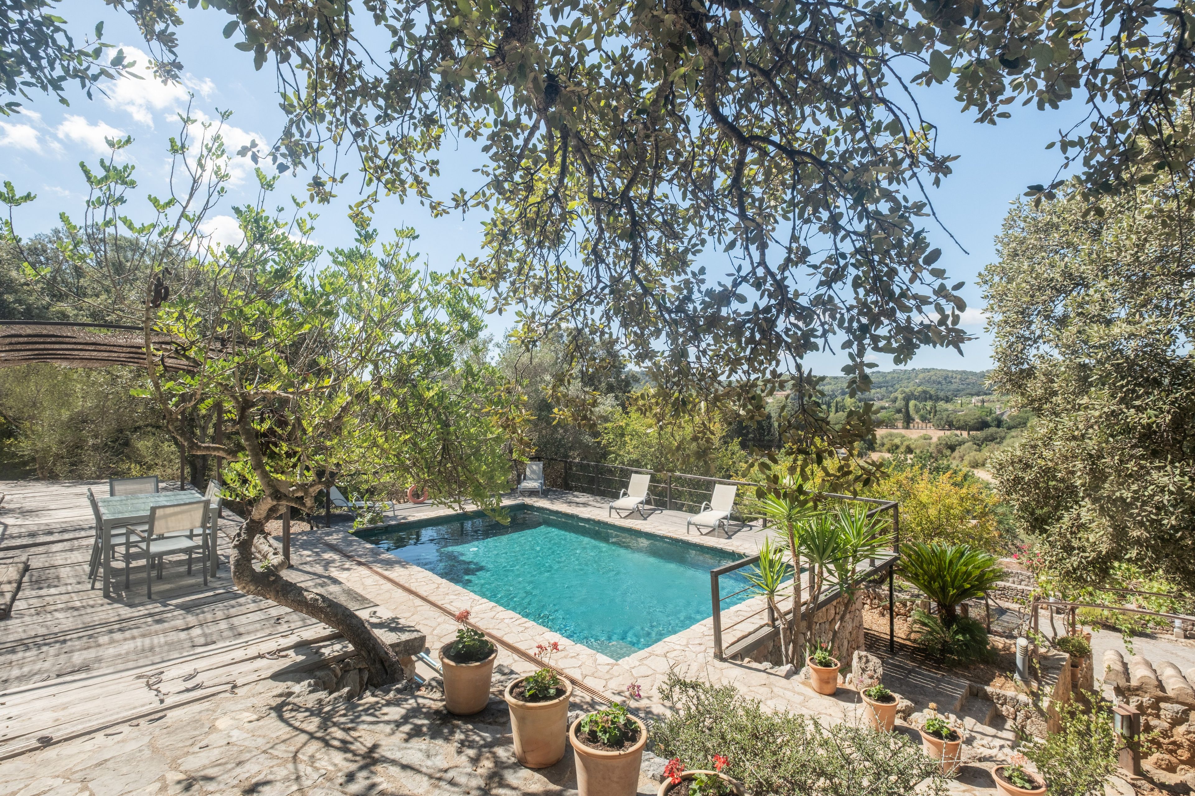 Zona de piscina con piscina azul cristalina, rodeada de plantas en macetas y mobiliario de exterior.