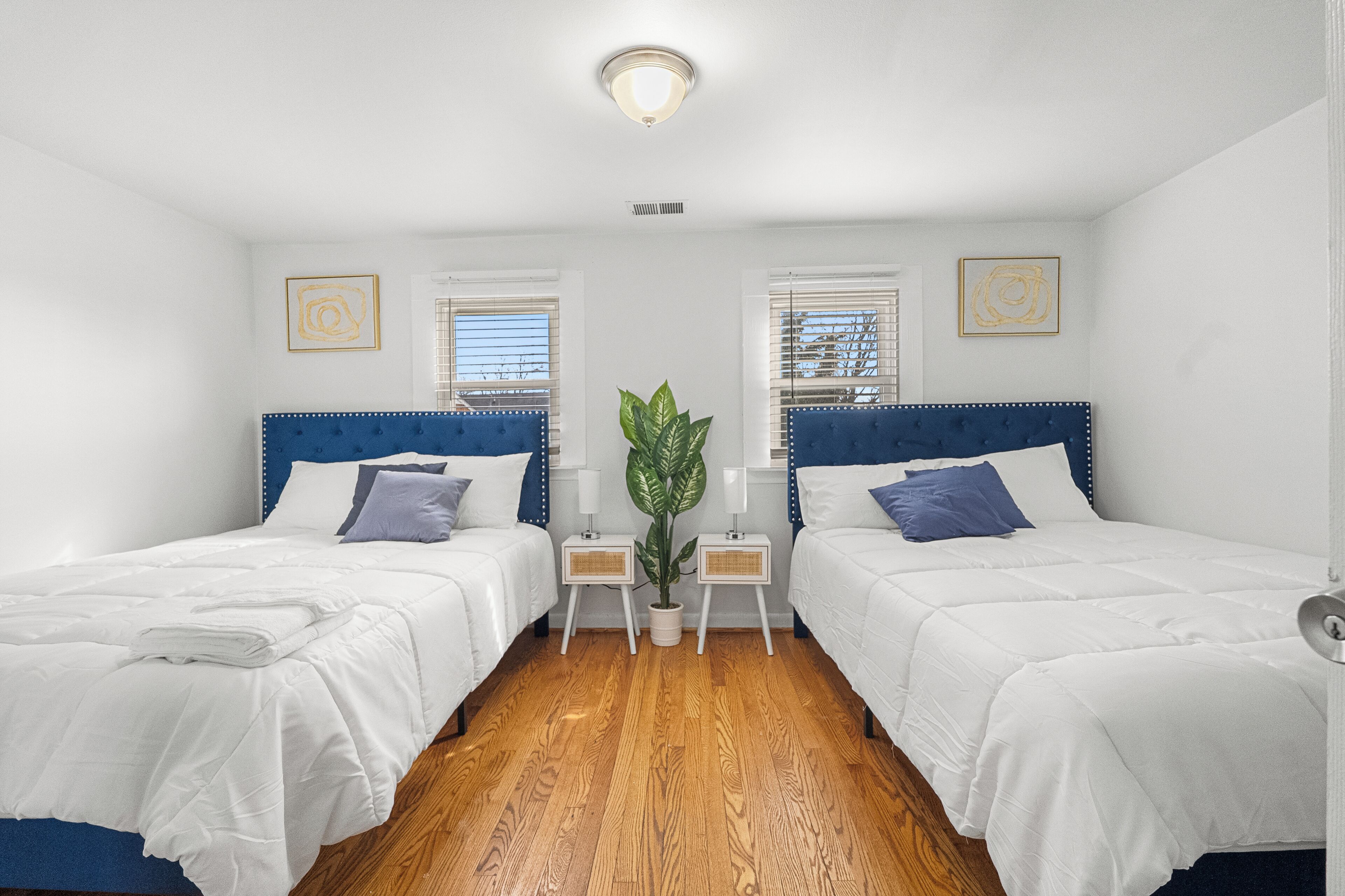 A hotel room with two beds, white bedding, blue headboards, wooden flooring, and a potted plant between the beds.