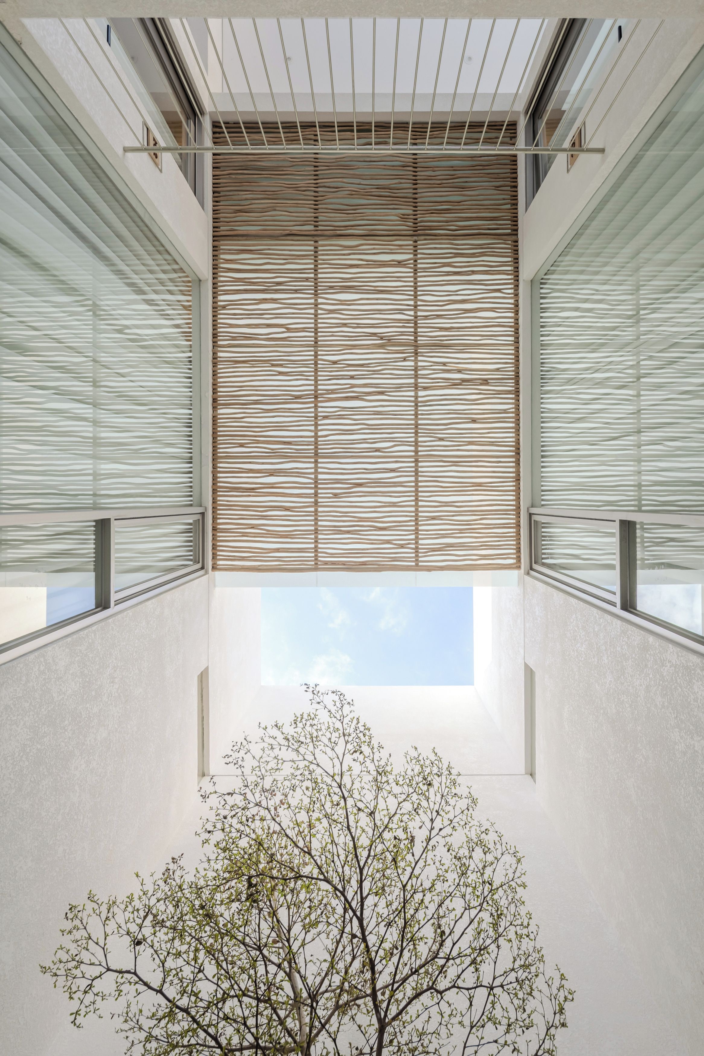 Un interno moderno con un lucernario, un soffitto in listelli di legno e un albero in primo piano.
