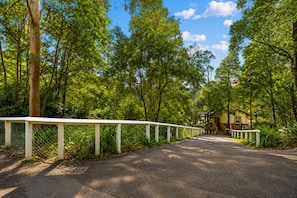 A paved pathway leading to a building surrounded by lush greenery and trees.