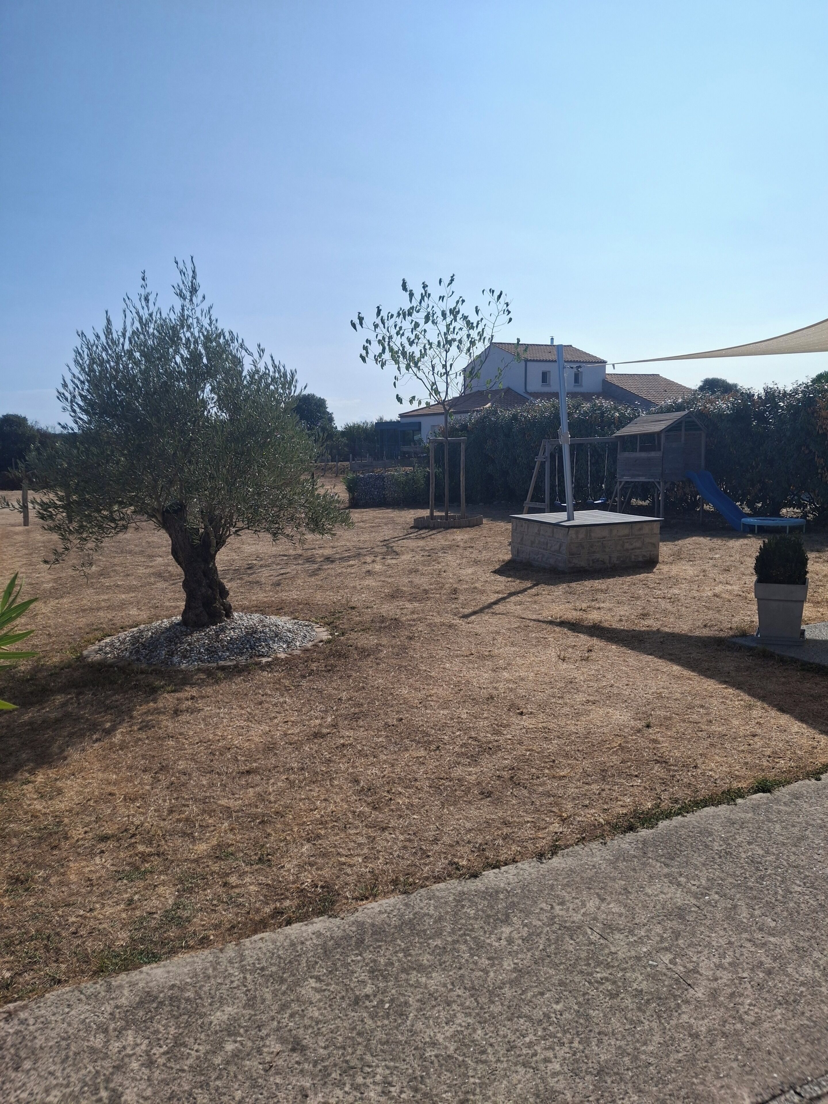 A garden with a tree, a play structure, and a house in the background.
