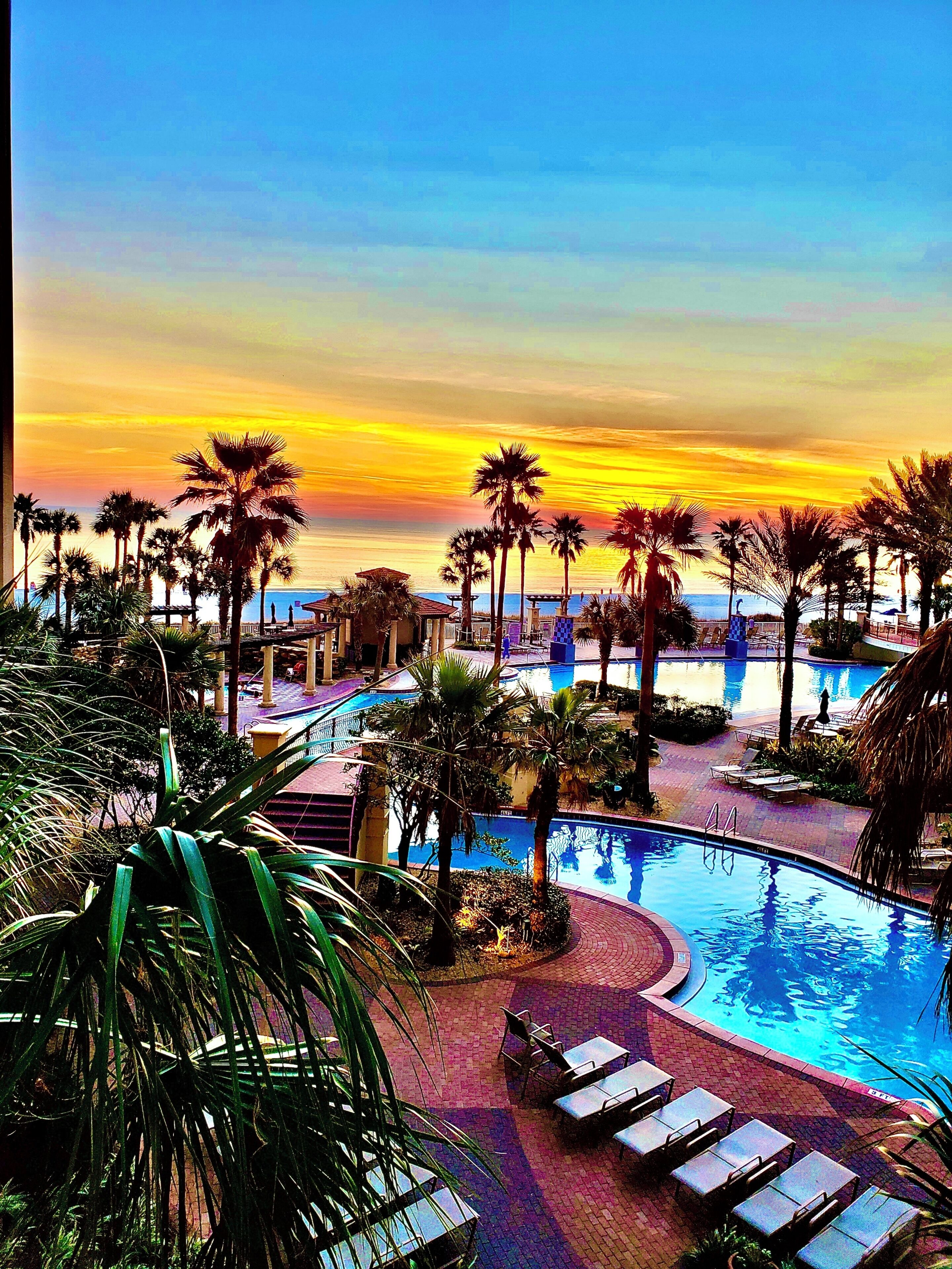 A resort pool area with palm trees and a view of the ocean during sunset.