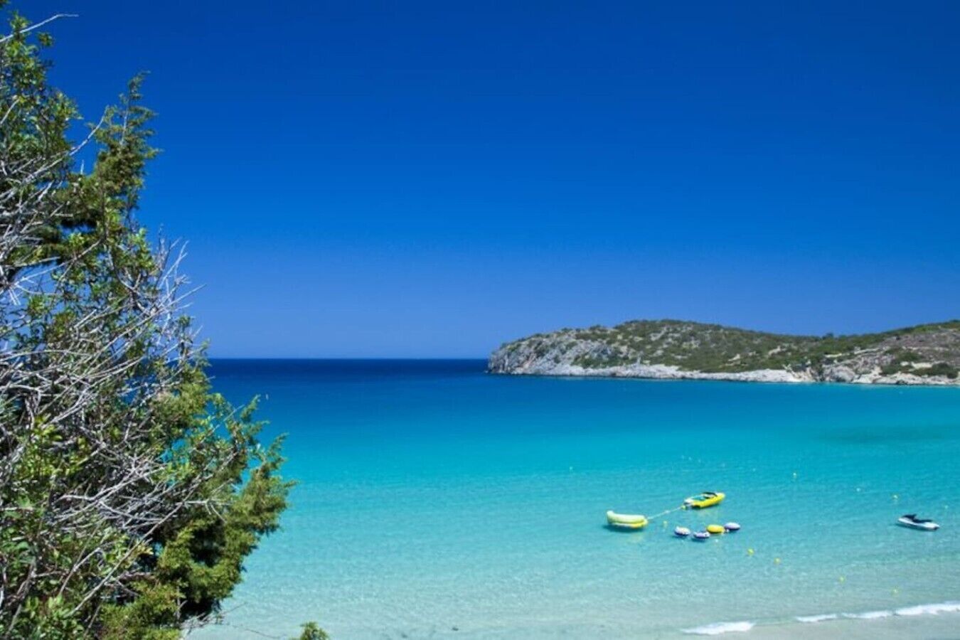 Un paysage côtier avec une eau turquoise cristalline, une petite île à l’horizon et un premier plan bordé d’arbres.