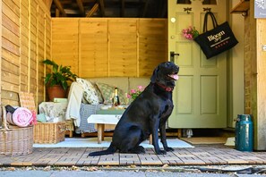 A black dog sitting on a wooden deck with a wicker basket and a rolled-up towel nearby.