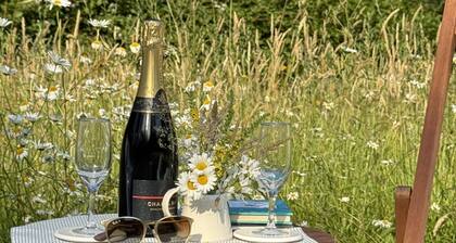 Meadow Sweet - a holiday let that sleeps 2 guests in 1 bedroom