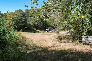 A rural property with a dirt path leading to a house, surrounded by dense vegetation and trees.