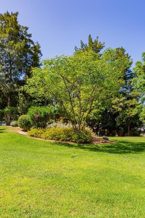 A well-maintained grassy area with a variety of trees and shrubs, suggesting a landscaped garden or park setting. - 4-Bedroom Villa near the Beach – Casa Colina 2 (Albufeira)