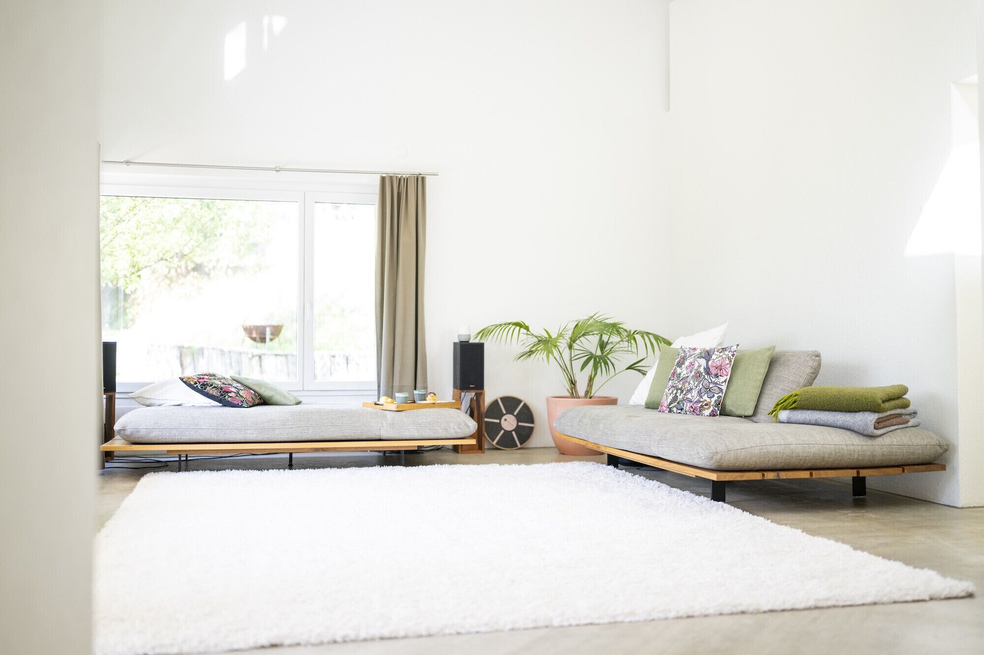 Uma sala de estar moderna com um conjunto de sofá, um tapete branco, uma planta em vaso e uma janela com cortinas.