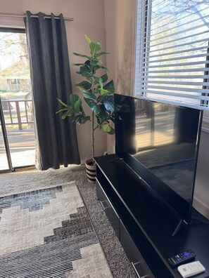 A living room with a flat-screen TV, a potted plant, a striped basket, and a patterned rug.