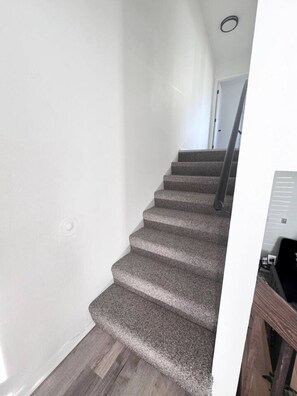 A staircase with carpeted steps leading to a door.
