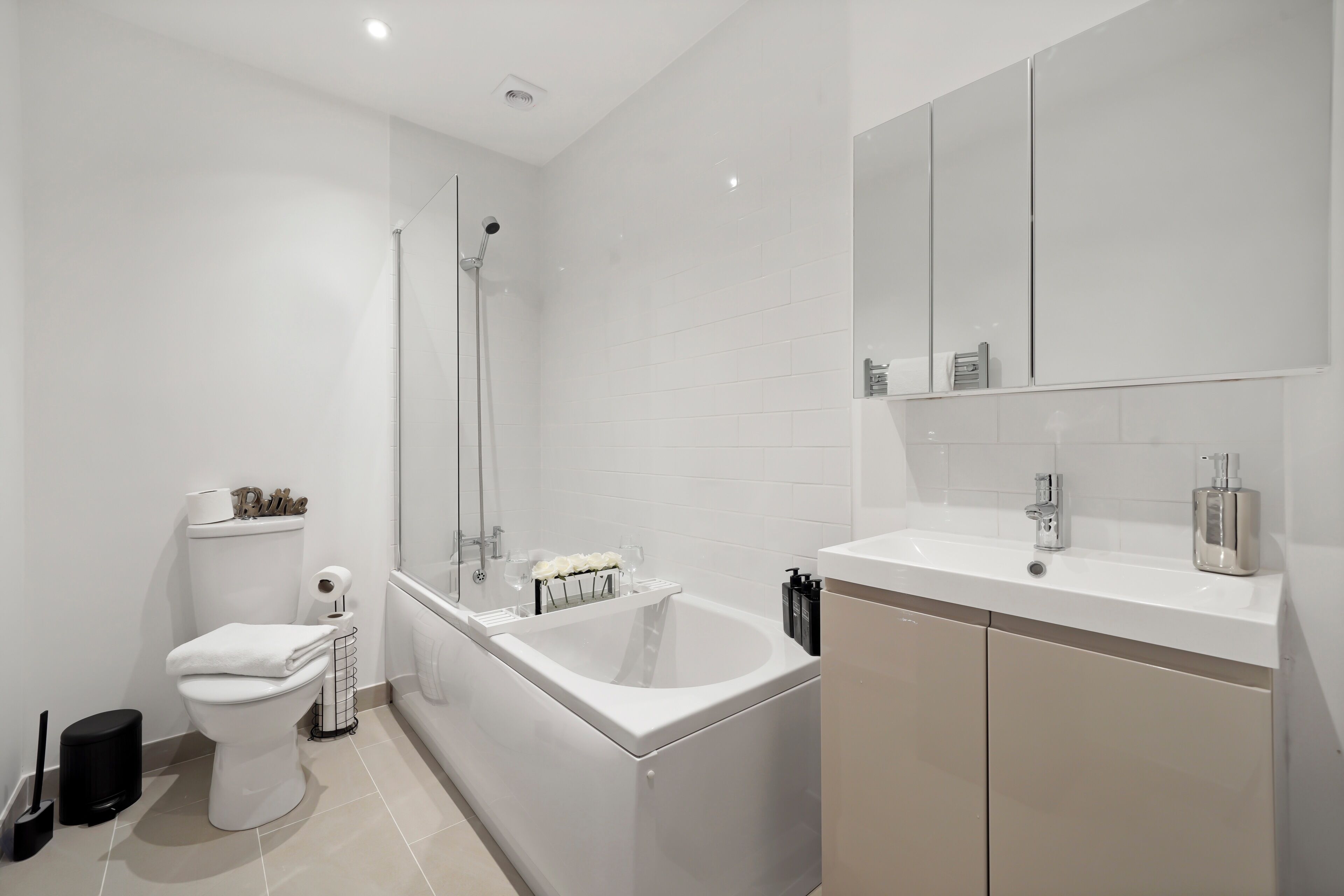 Hair dryer, towels, toilet paper