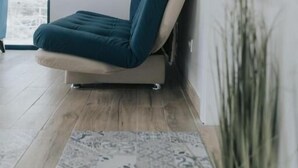 A modern room with a sofa, a patterned rug, and a potted plant.